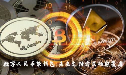 数字人民币软钱包：未来支付方式的颠覆者