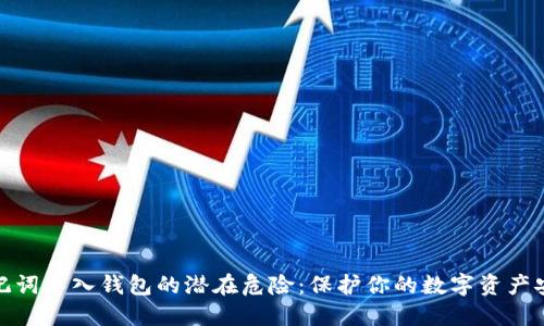 助记词导入钱包的潜在危险：保护你的数字资产安全