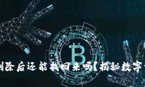 TP钱包中的币删除后还能找回来吗？揭秘数字资产的恢复真相