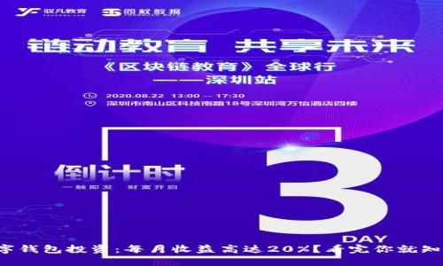 数字钱包投资：每月收益高达20%？看完你就知道！