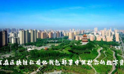 如何在区块链私有化钱包部署中保护你的数字资产？