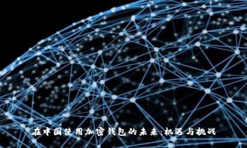 在中国使用加密钱包的未来：机遇与挑战