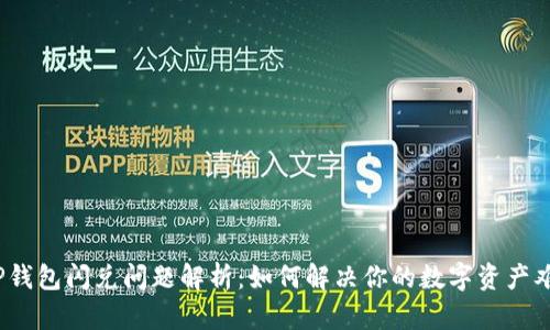 : TP钱包闪兑问题解析：如何解决你的数字资产难题？