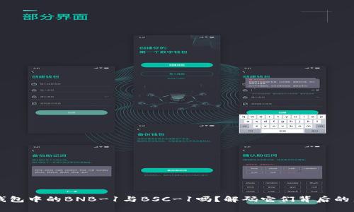 你了解TP钱包中的BNB-1与BSC-1吗？解码它们背后的差异与应用