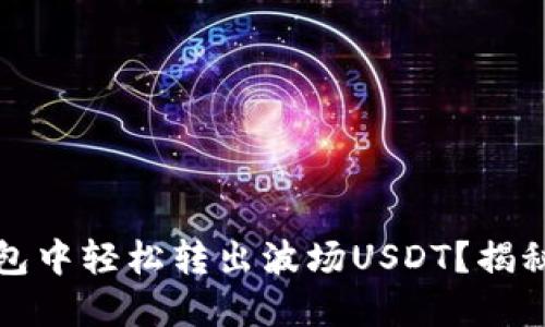 如何在TP钱包中轻松转出波场USDT？揭秘流程与技巧