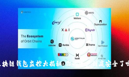 区块链钱包监控大揭秘：你的资产到底安全了吗？